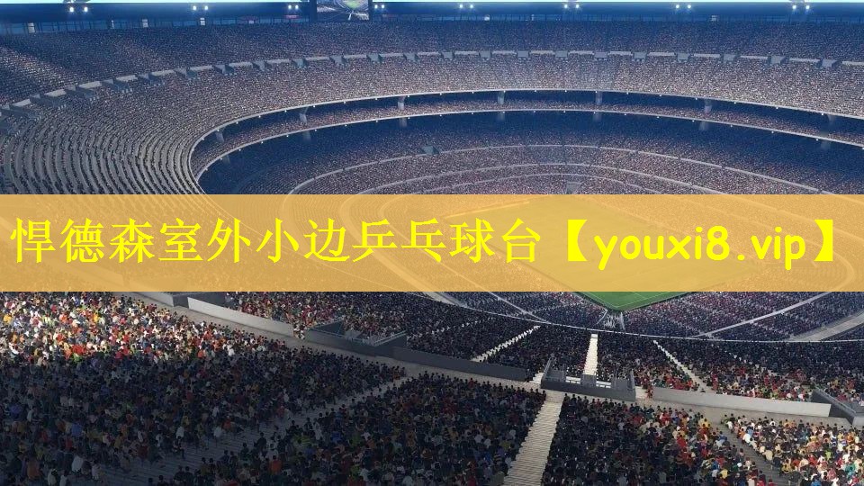 悍德森室外小边乒乓球台